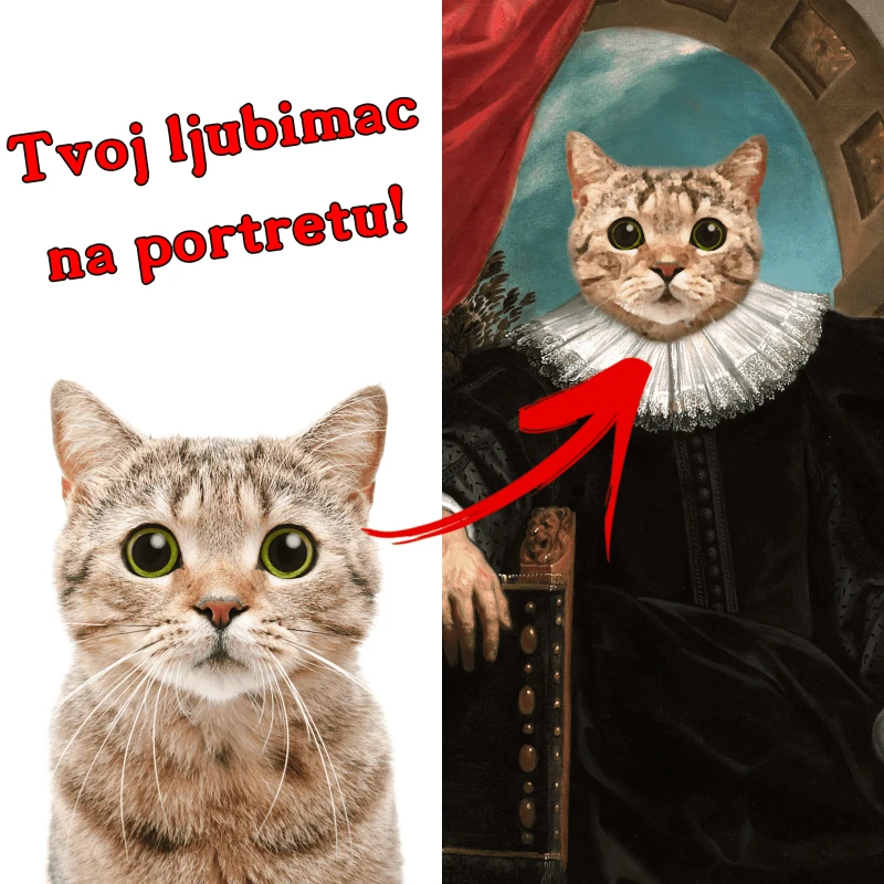 Izraditi ću portret Vašeg ljubimca