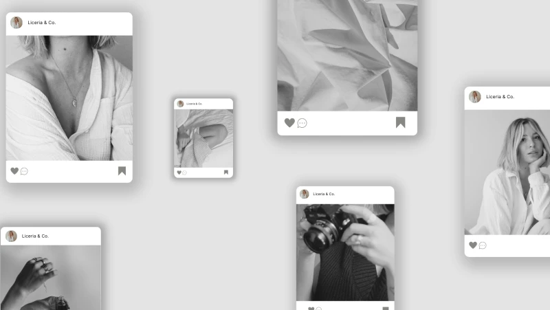 Održavanje društvenih mreža (Facebook, Instagram, Pinterest, Twitter, Linkedin)