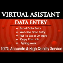I will do data entry typing work job, copy paste, excel data entry